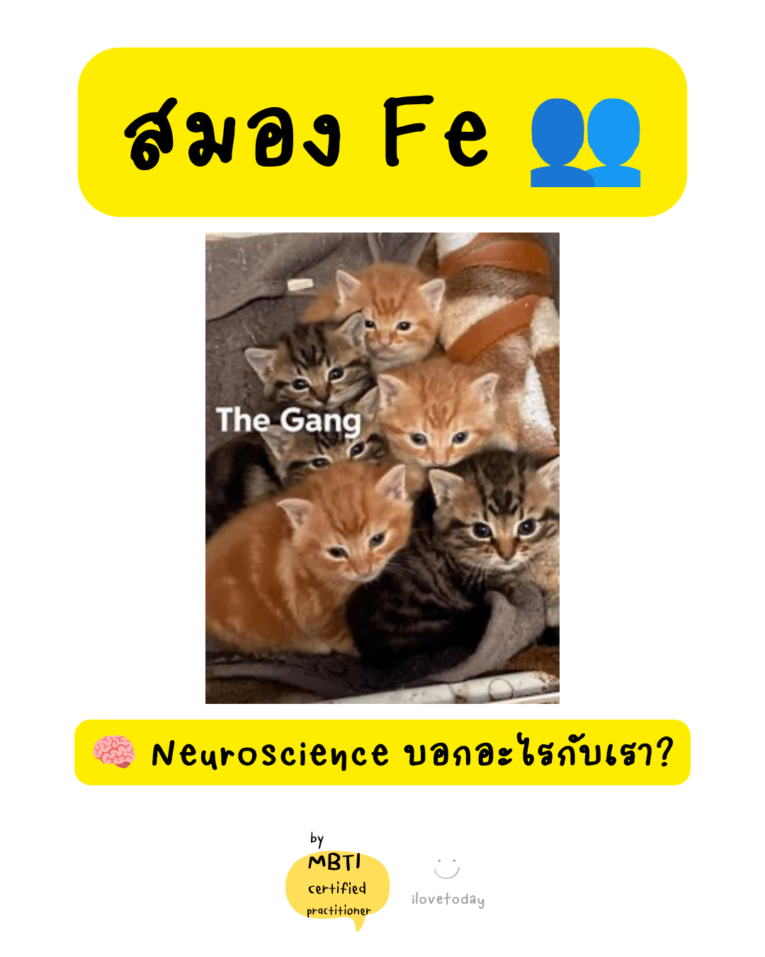 🧠 พี่พง Today #006