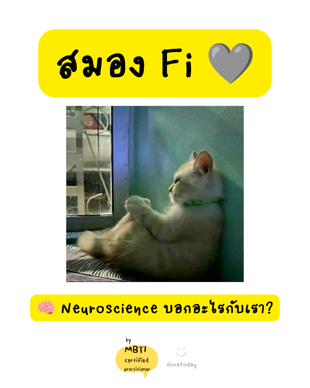 🧠 พี่พง Today #007