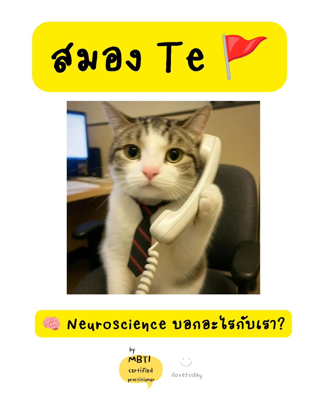 🧠 พี่พง Today #008