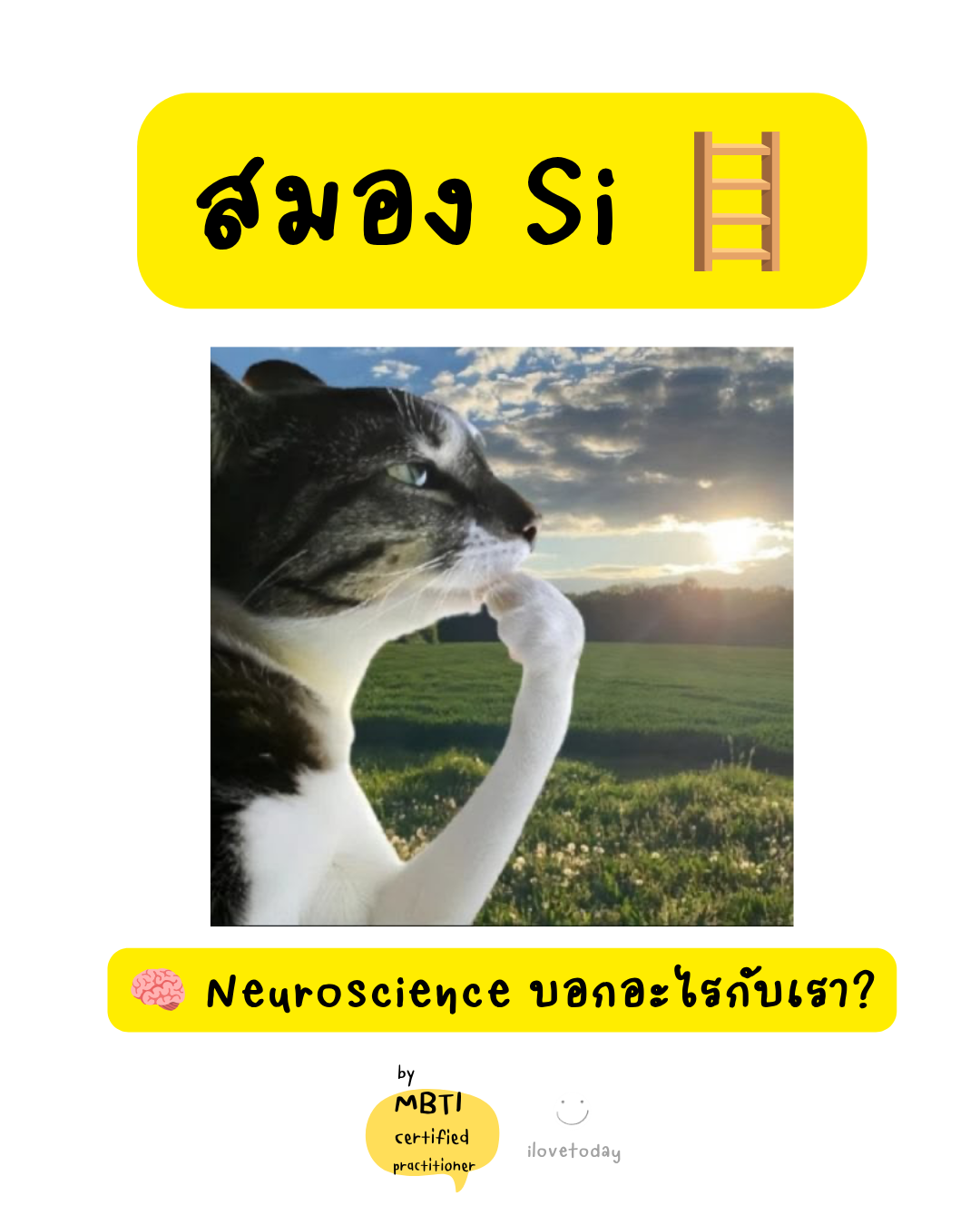 🧠 พี่พง Today #011