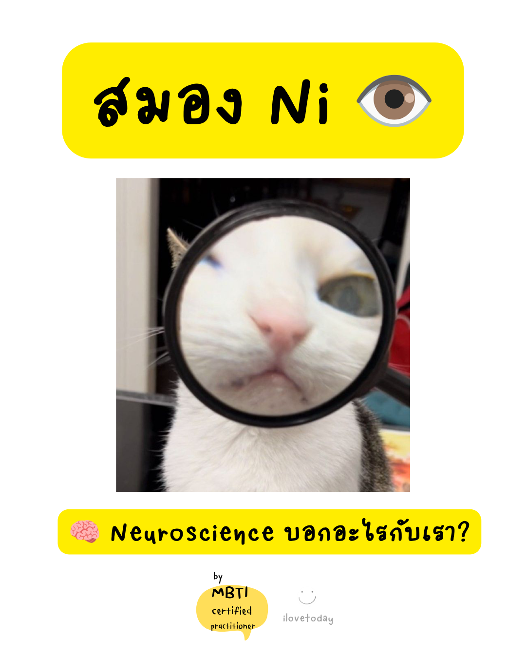 🧠 พี่พง Today #013