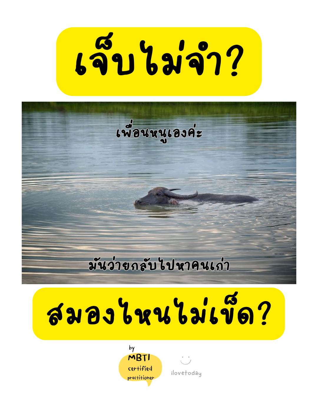 🧠 พี่พง Today #018