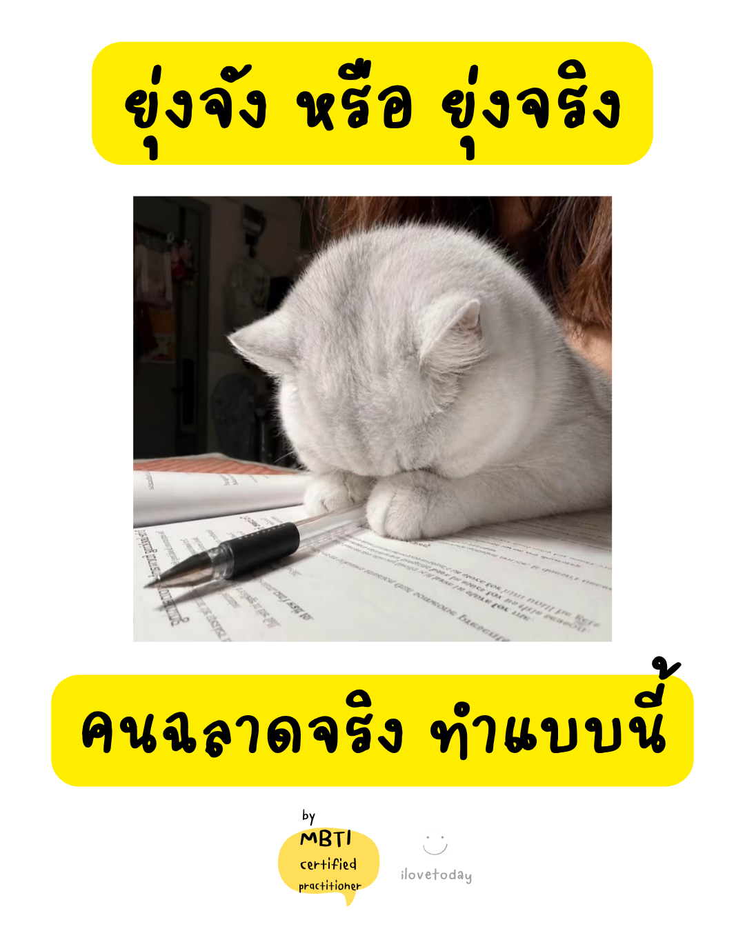🧠 พี่พง Today #021