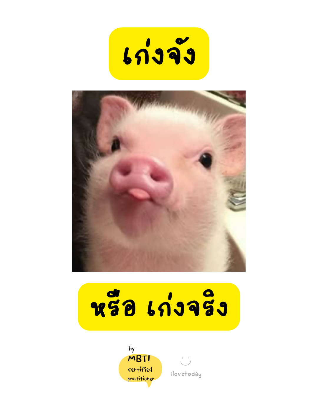 🧠 พี่พง Today #023