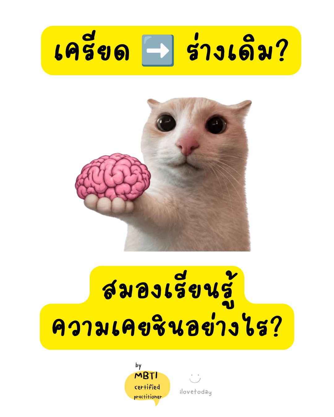 🧠 พี่พง Today #035