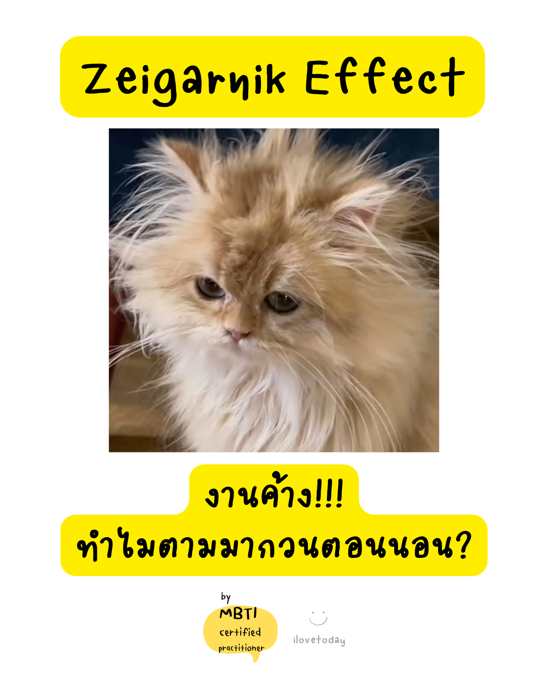 🧠 พี่พง Today #052