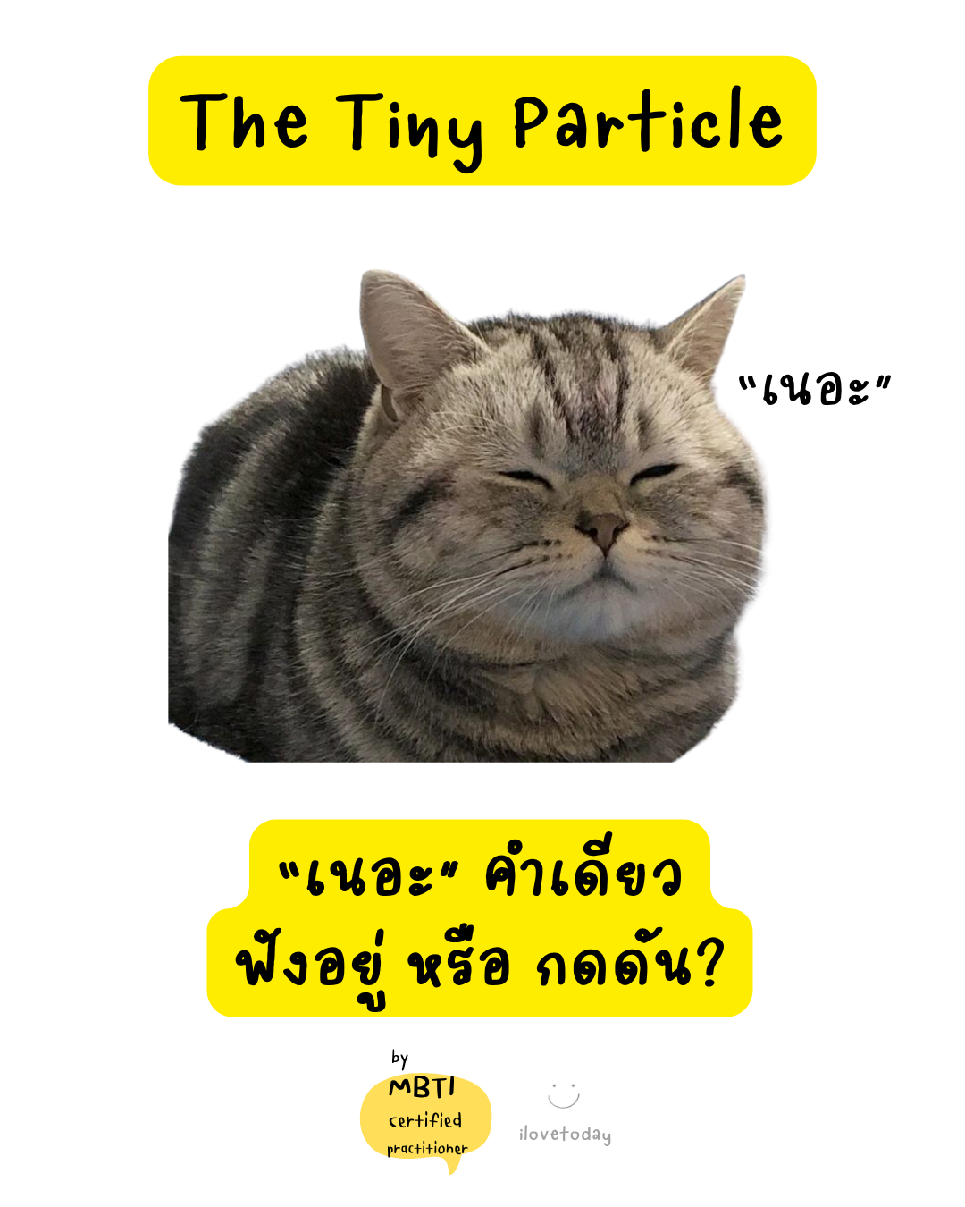 🧠 พี่พง Today #061